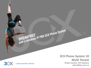 Именование директорий 3CX Phone System Multi Tenant