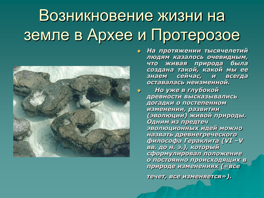 Презентация на тему протерозойская эра 9 класс по биологии