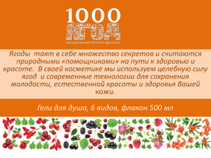 1000 ЯГОД