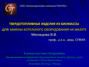 myasoedova_vera_lesdrevmash_bioenergetika_20102014
