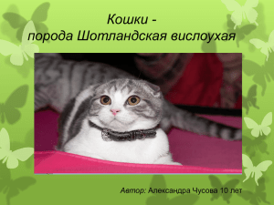 Презентация к творческому проекту Кошки