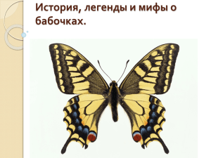 История, легенды и мифы о бабочках.