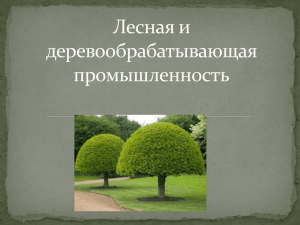 Обезлесение - PPt4WEB.ru