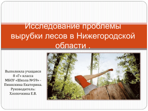 Исследование проблемы вырубки лесов в Нижегородской области . Выполнила учащаяся