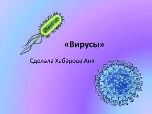 биология вирусы Хабаровой Ани