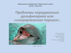Проблемы передвижных дельфинариев или «хлорированная тюрьма» .