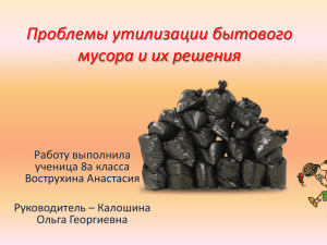 Проблемы утилизации бытового мусора и их решения