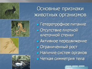 Специфические черты  животных Работа Ахметвалиевой