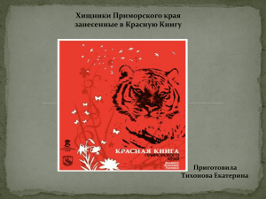 Хищники Приморского края занесенные в Красную Книгу Приготовила Тихонова Екатерина