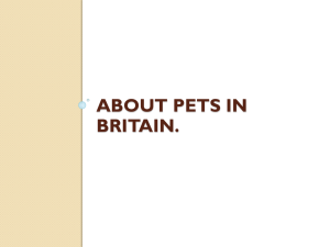 ABOUT PETS IN BRITAIN.