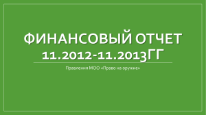 Финансовый отчет 11.2012-11.2013гг