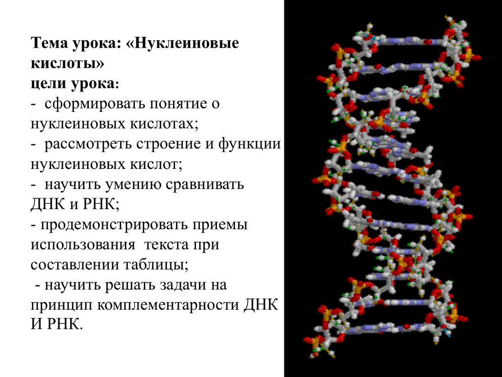 Функции веществ нуклеиновых кислот. ДНК нуклеиновые кислоты презентация. Вторичная структура нуклеиновых кислот. Органические вещества нуклеиновые кислоты. Органические вещества клетки нуклеиновые кислоты.
