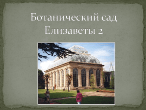 Ботанический сад Елизаветы второй (презентация скачать)