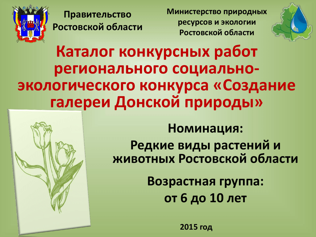 Сайт экологии ростовской области