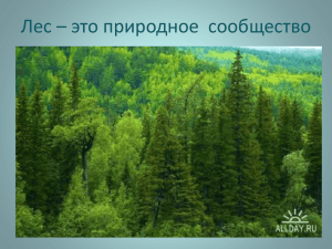 Лес – это природное  сообщество