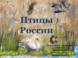 Птицы России Презентацию подготовили студентки