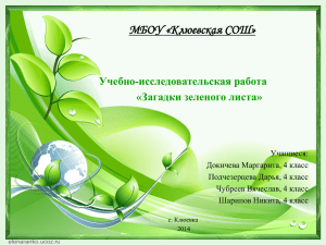 МБОУ «Клюевская СОШ» Учебно-исследовательская работа «Загадки зеленого листа»