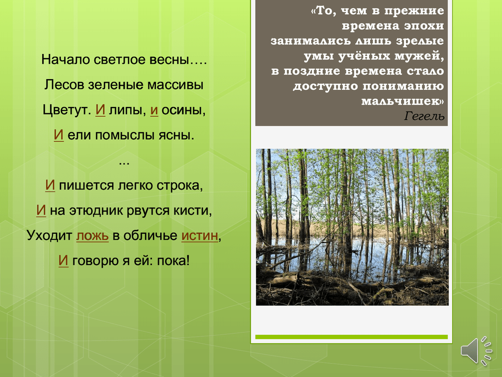 Весенний лес описание. Текст описание весенний лес. План к тексту весенний лес. В лесу текст 8 класс русский