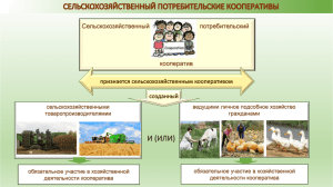 сельскохозяйственный потребительские кооперативы