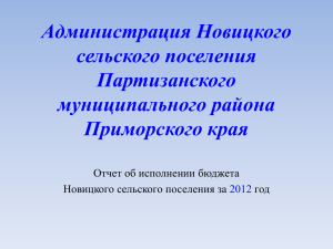 Открытый бюджет Новицкого сельского поселения за 2012 год