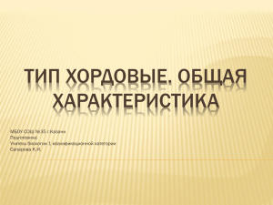 ТИП ХОРДОВЫЕ. ОБЩАЯ ХАРАКТЕРИСТИКА МБОУ СОШ №35 г.Казани Подготовила: