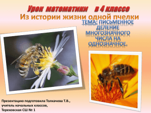 файл: Презентация к уроку "Пчелка"
