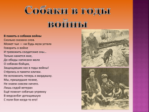 Собаки в годы войны В память о собаках войны