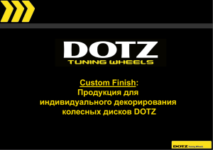 dotz custom finish