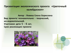 Презентация экологического проекта «Цветочный калейдоскоп»