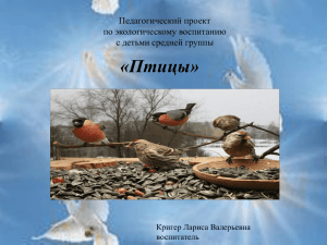 Птицы - Maam.ru