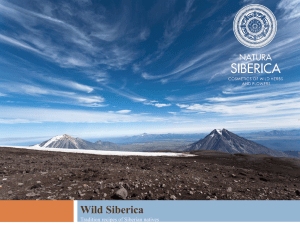 Wild Siberica Tradition recipes of Siberian natives