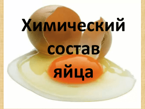 Химический состав яйца