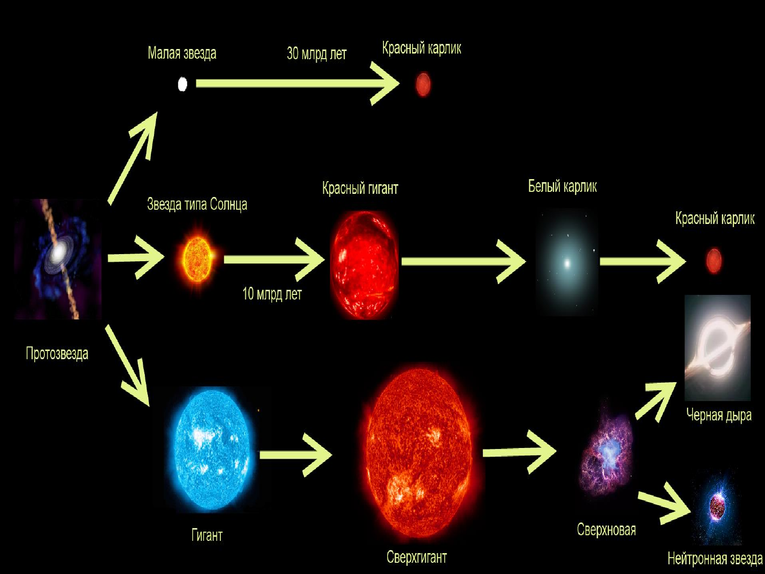 Последовательность белых карликов. Жизненный цикл звезд протозвезда. Схема стадий развития звезды. Эволюция звезд протозвезда. Этапы эволюции звезд схема.