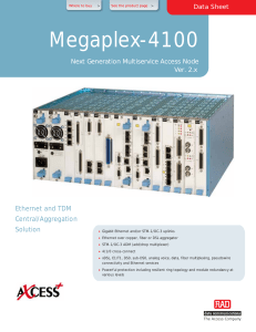 Мультиплексор RAD Megaplex-4100 (MP-4100) 
