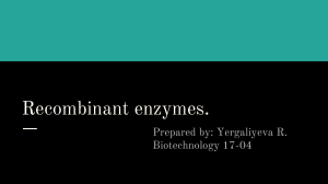 Recombinant Enzymes