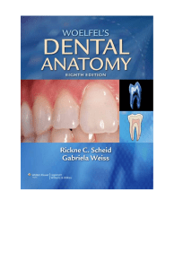 Woelfels Dental Anatomy 8th Ed
