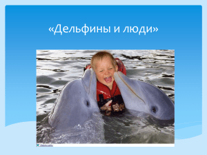 Дельфины и люди»