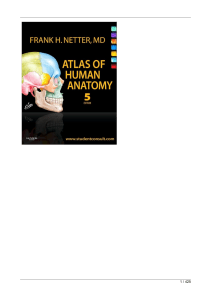 Netters Atlas of Human Anatomy