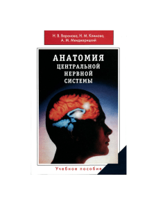 Анатомия центральной нервной системы - Н.В. Воронова и др.