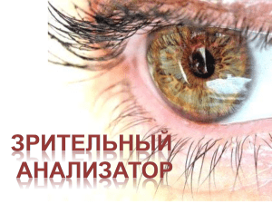 глаз как оптическая система