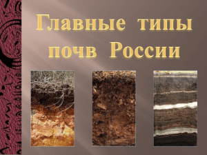 2.Почвы Россииъ
