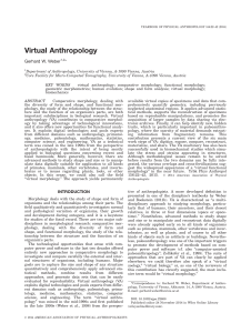 virtual anthropology