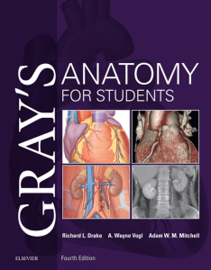 Gray's Anatomy for Students 4th Edition NO Watermark