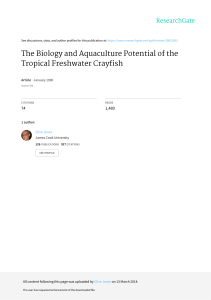 The Biology and Aquaculture Potential of Cherax quadricarinatus. Потенциал биологии и аквакультуры Cherax quadricarinatus