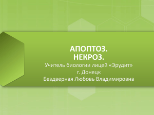 АПОПТОЗ