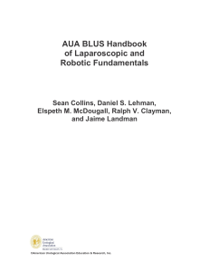 BLUS-Handbook