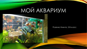 мой аквариум презентация ученика 3 класса