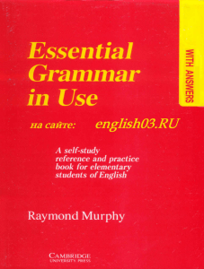 Murphy Grammar in Use (red)
