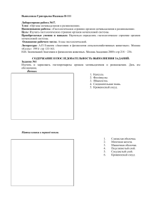 Лабораторно-практическое занятие1, 2. Мочеполовая система самцов и самок