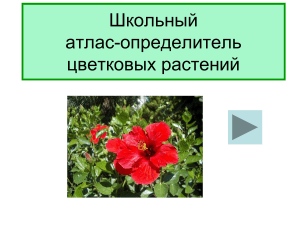 атлас-определитель цветковых растений